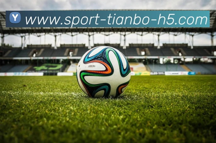 天博体育APP 体育赛事宣传图